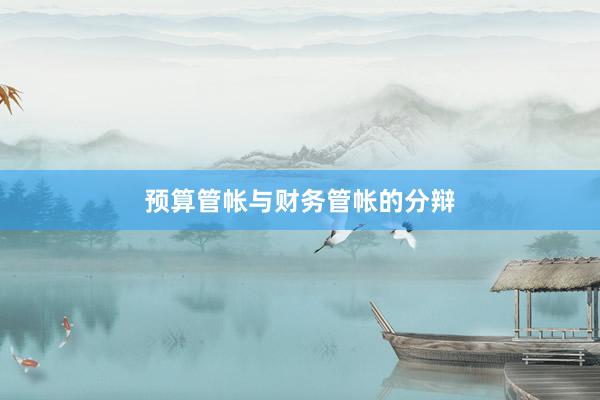 预算管帐与财务管帐的分辩