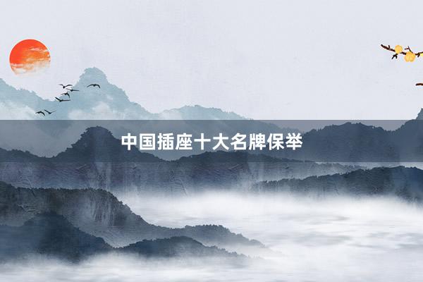 中国插座十大名牌保举